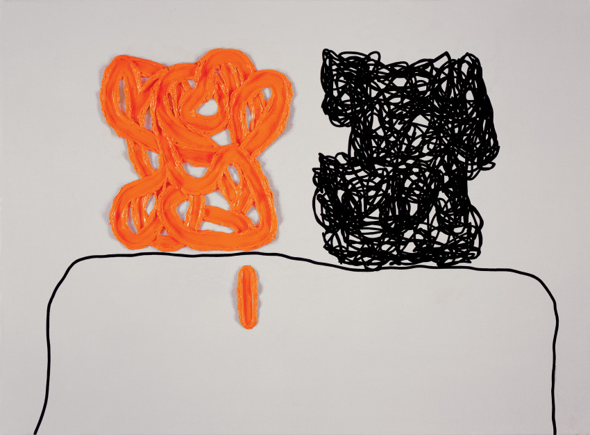 Jonathan Lasker Questions of Experience