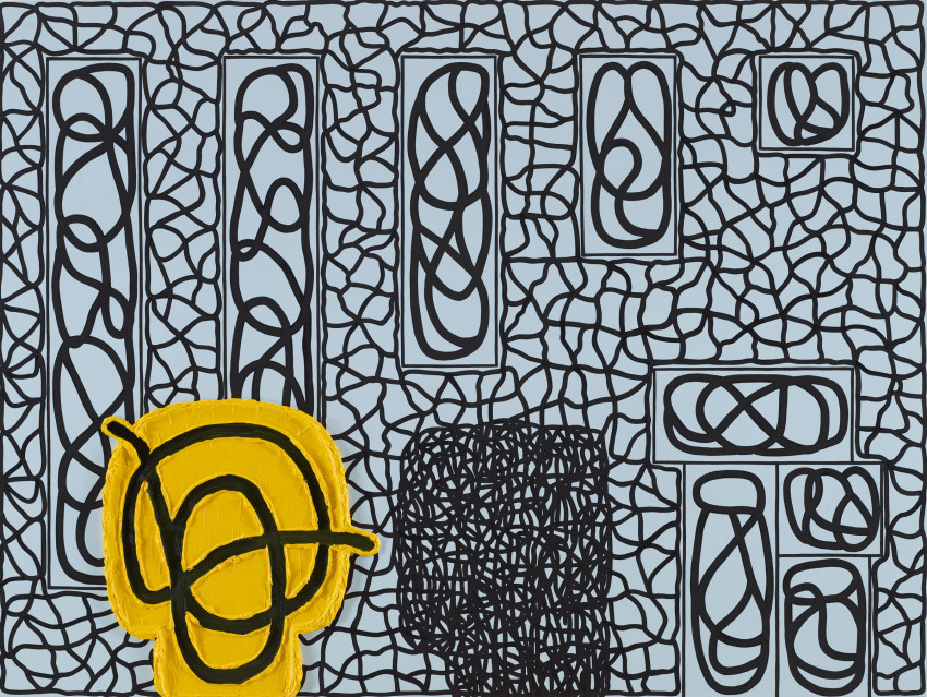 Jonathan Lasker Law and Nature